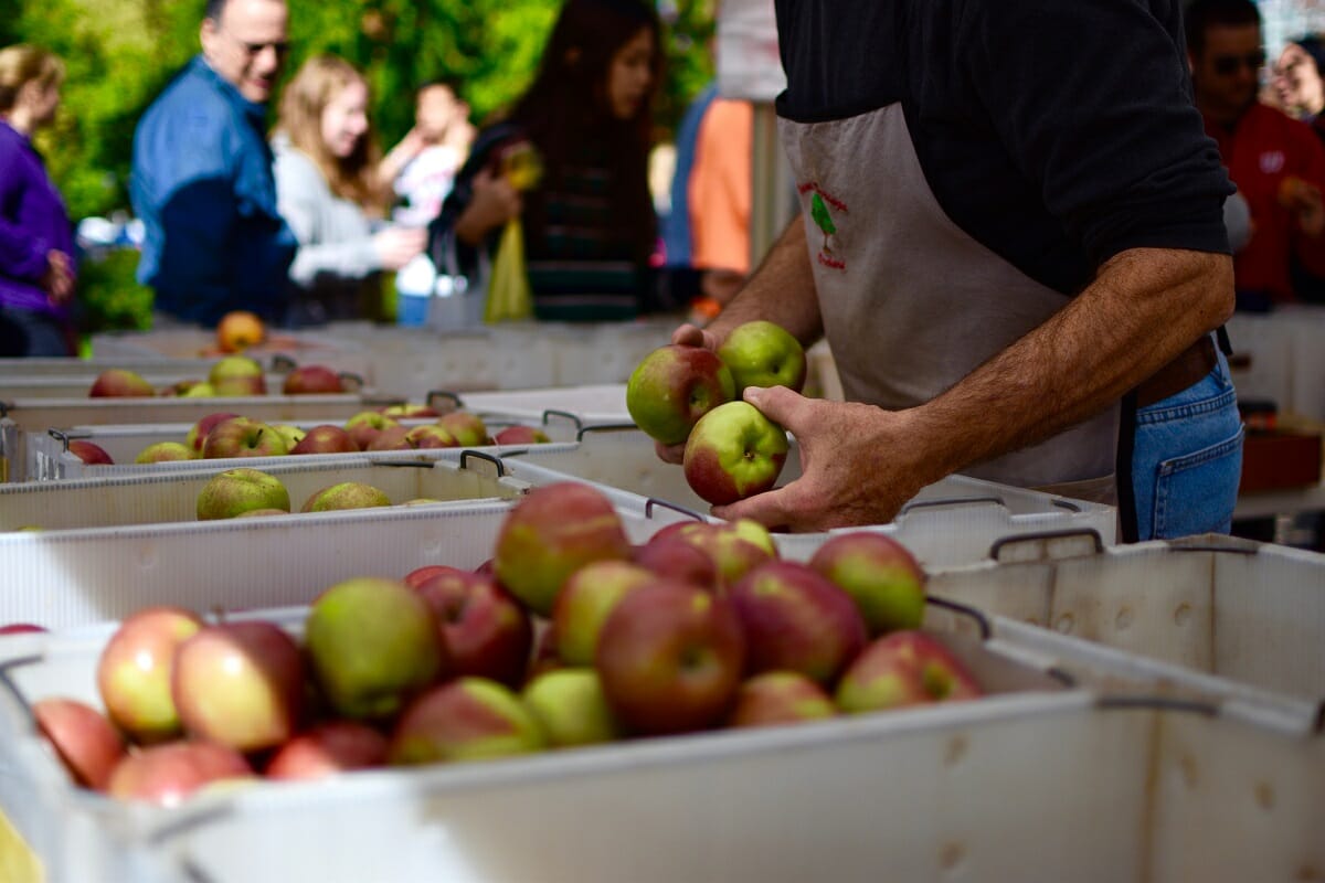 Apple vendor at the Dane County Farmers' Market