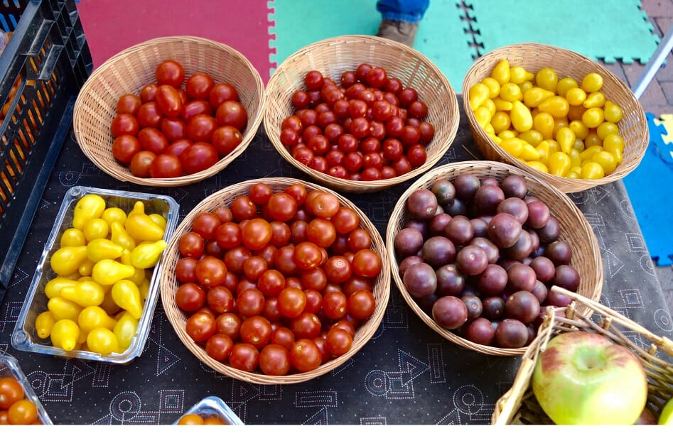 Variety of tomatoes at the Dane County Farmers' Market